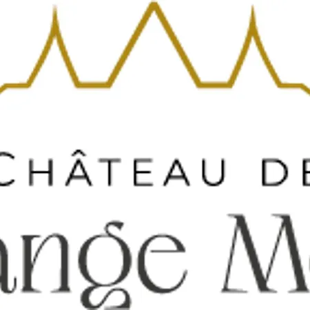 Grand Chateau Renaissance Avec Parc, Piscine Et Activites, Renove En 2023 - Fr-1-410-389 Nyaraló