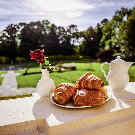 Nyaraló Grand Chateau Renaissance Avec Parc, Piscine Et Activites, Renove En 2023 - Fr-1-410-389 *
